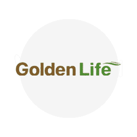 Golden Life